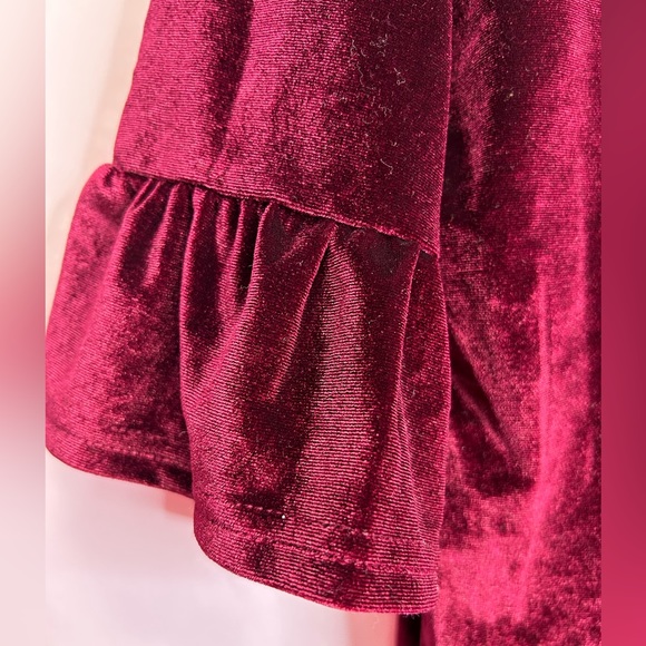 AMARYLLIS | Wine Velvet Ruffle-Accent Short-Sleeve Top (Size: Medium) - Picture 8 of 12